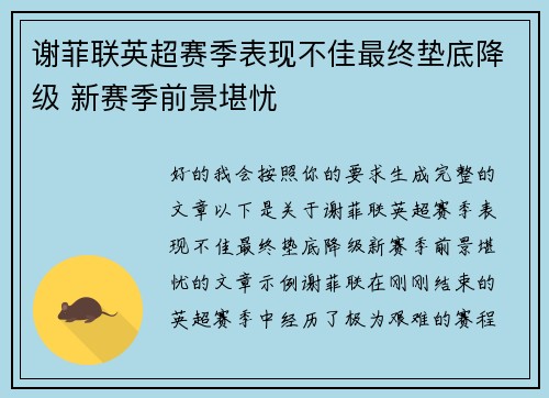 谢菲联英超赛季表现不佳最终垫底降级 新赛季前景堪忧